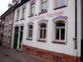 Гостиница Hotel Freihof  Вислох